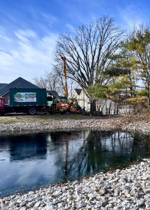 WhatsApp Image 2026-02-25 at 8.31.33 AM