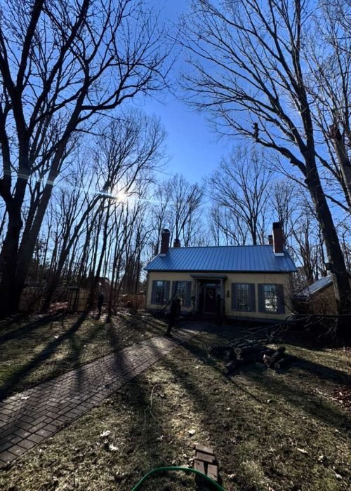 WhatsApp Image 2026-03-10 at 1.42.11 PM