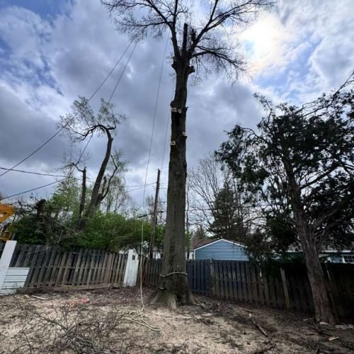 WhatsApp Image 2026-04-06 at 11.07.23 AM