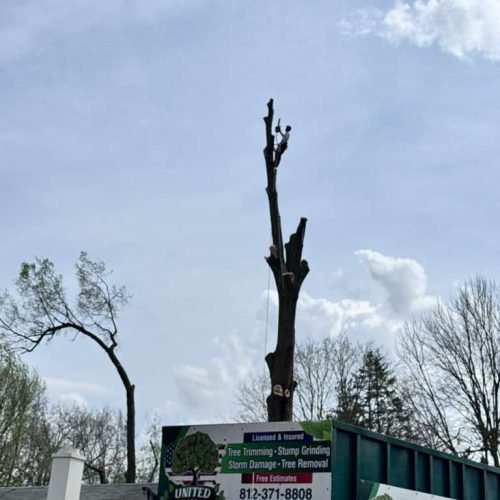 WhatsApp Image 2026-04-06 at 11.07.24 AM (1)