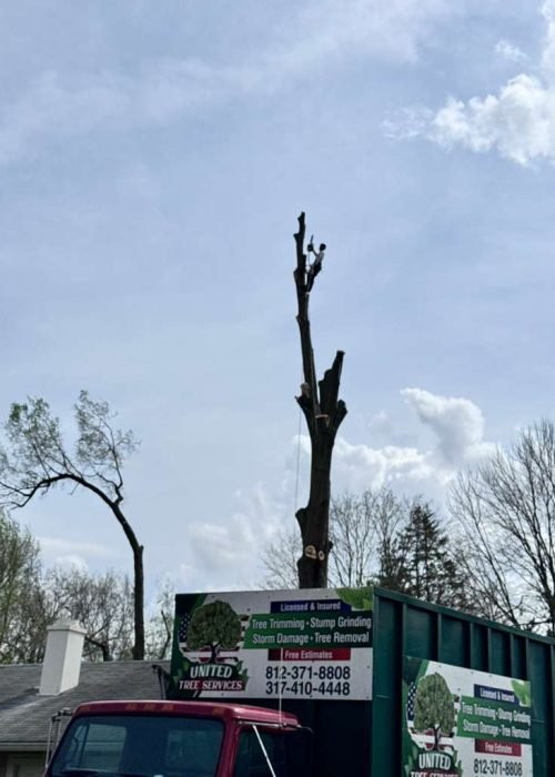 WhatsApp Image 2026-04-06 at 11.07.24 AM (1)