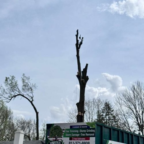 WhatsApp Image 2026-04-06 at 11.07.24 AM (2)