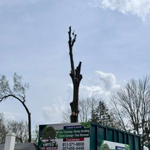 WhatsApp Image 2026-04-06 at 11.07.24 AM