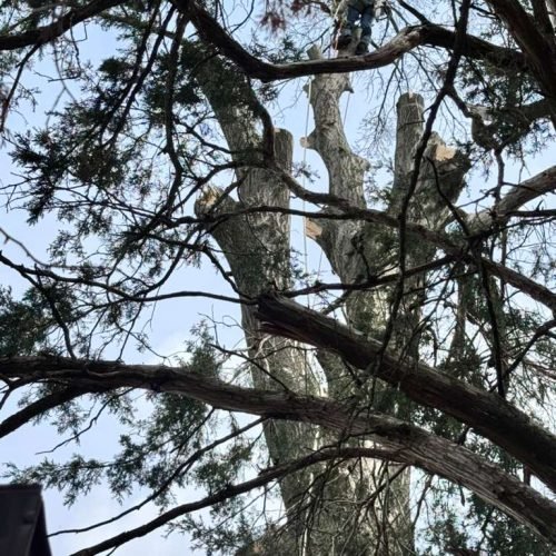 WhatsApp Image 2026-04-06 at 11.07.25 AM (1)