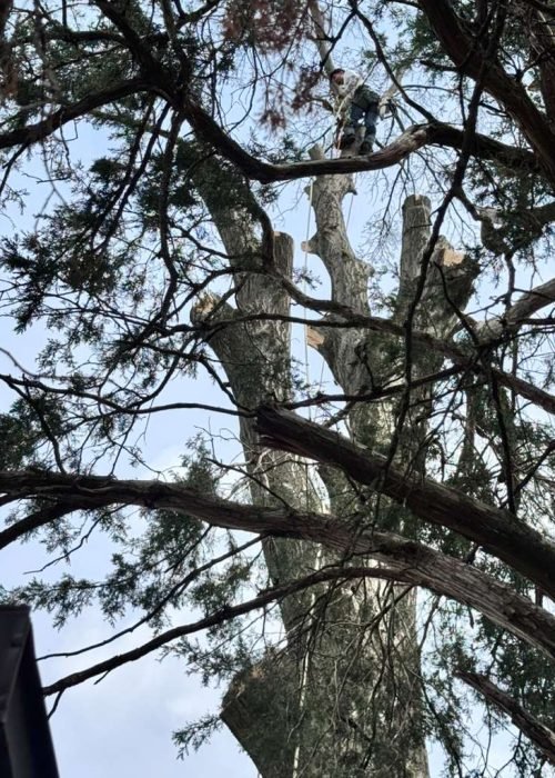 WhatsApp Image 2026-04-06 at 11.07.25 AM (1)