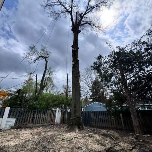 WhatsApp Image 2026-04-06 at 11.07.25 AM (2)