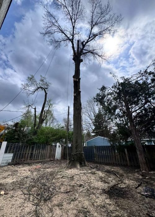 WhatsApp Image 2026-04-06 at 11.07.25 AM (2)