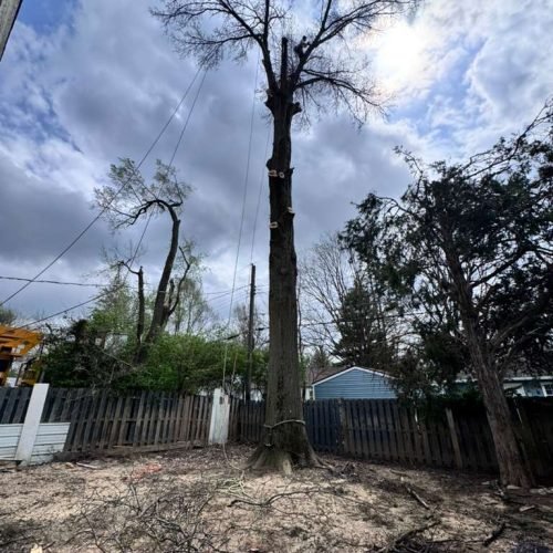 WhatsApp Image 2026-04-06 at 11.07.25 AM (3)