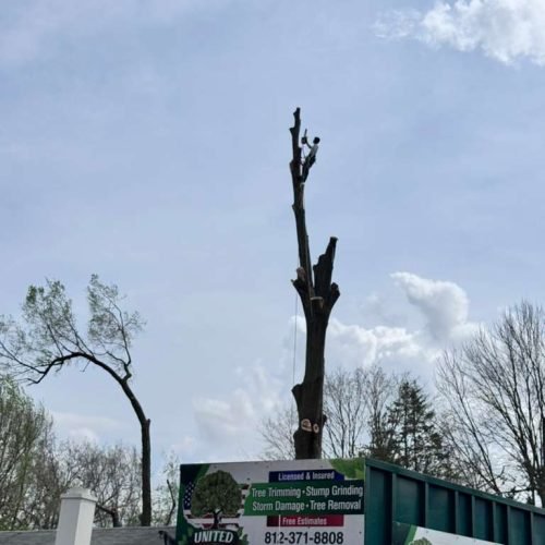 WhatsApp Image 2026-04-06 at 11.07.25 AM (4)