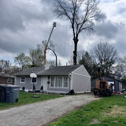 WhatsApp Image 2026-04-06 at 11.07.25 AM (5)