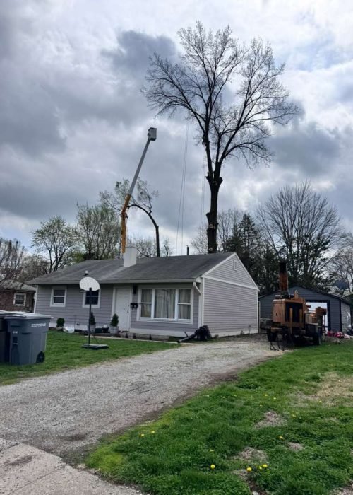 WhatsApp Image 2026-04-06 at 11.07.25 AM (5)