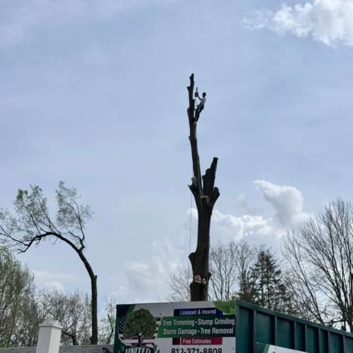 WhatsApp Image 2026-04-06 at 11.07.25 AM