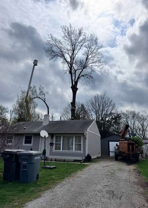 WhatsApp Image 2026-04-06 at 11.07.26 AM